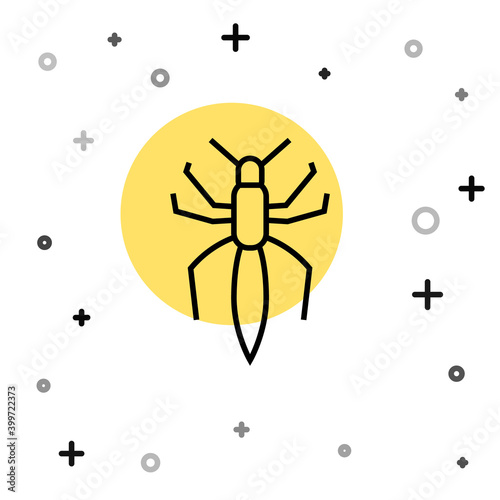 Black line Spider icon isolated on white background. Happy Halloween party. Random dynamic shapes. Vector.
