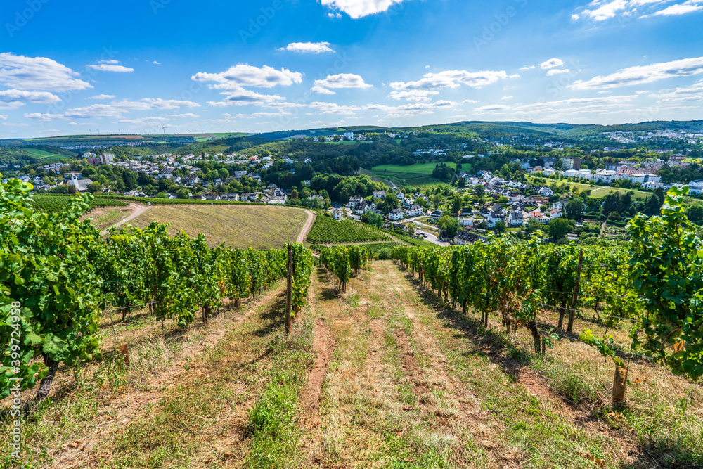 Grapes vineyard with Trier city in the background. Germany 