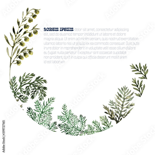 Watercolour frames with the Wormwood plant
