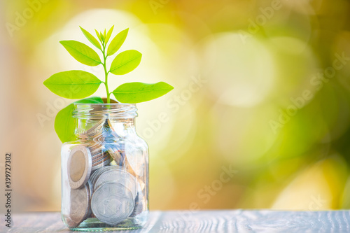 Plant Growing In Savings Coins - Interest Concept