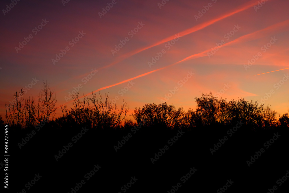 Natural Sunset with trees silhouette. Bright Dramatic Sky And Dark Ground. Warm Colours. Tree silhouetted against a setting sun. Photo of the sky. Background with sky Natural Sunset with trees silhouette. Bright Dramatic Sky And Dark Ground. Warm Colours. Tree silhouetted against a setting sun. Photo of the sky. Background with sky