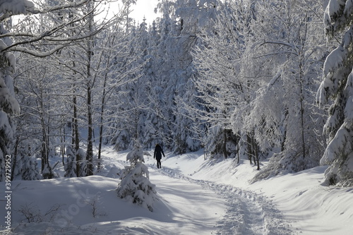 Winterwanderung photo