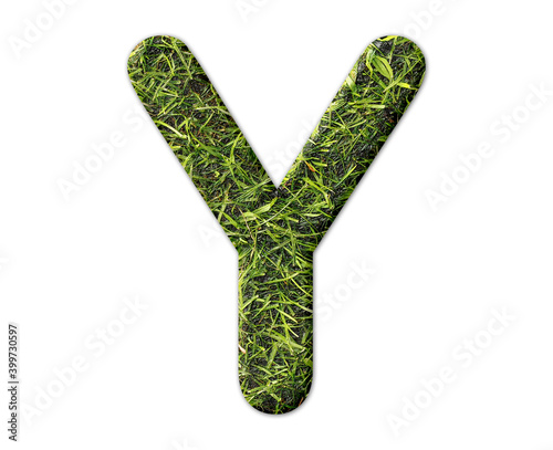 y Alphabet symbol Grass green Logo icon illustration