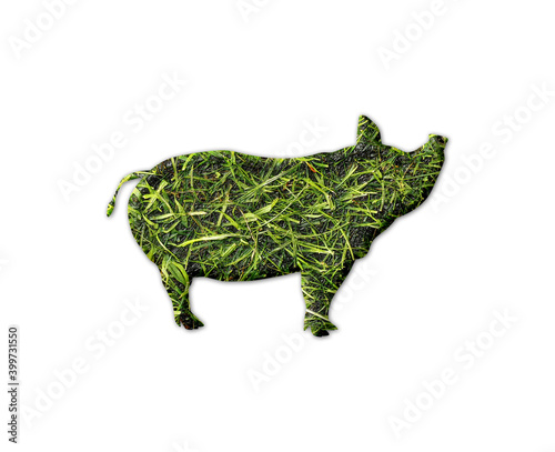 swine pig symbol Grass green Logo icon illustration
