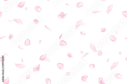 さくらと散る花びらのシームレスパターン背景。水彩イラスト。