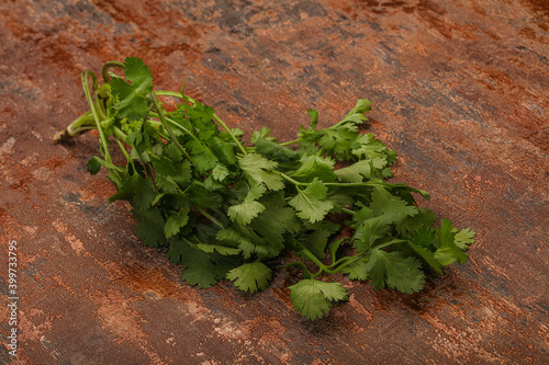 Green coriander or cilanto leaves heap photo