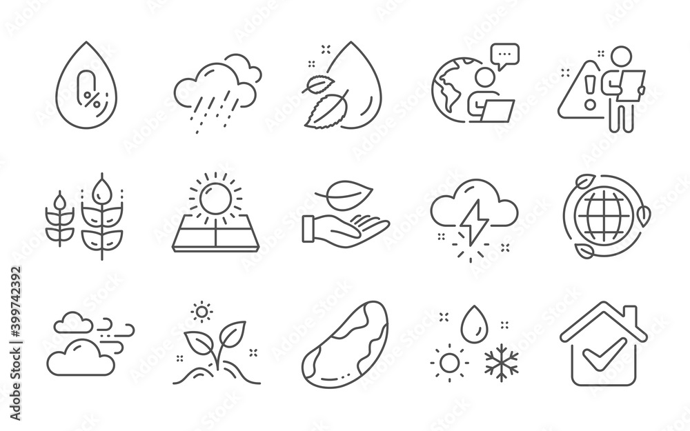 Weather, Grow plant and No alcohol line icons set. Rainy weather, Water drop and Leaf signs. Brazil nut, Gluten free and Sun energy symbols. Eco energy. Climate, Leaves. Nature set. Vector