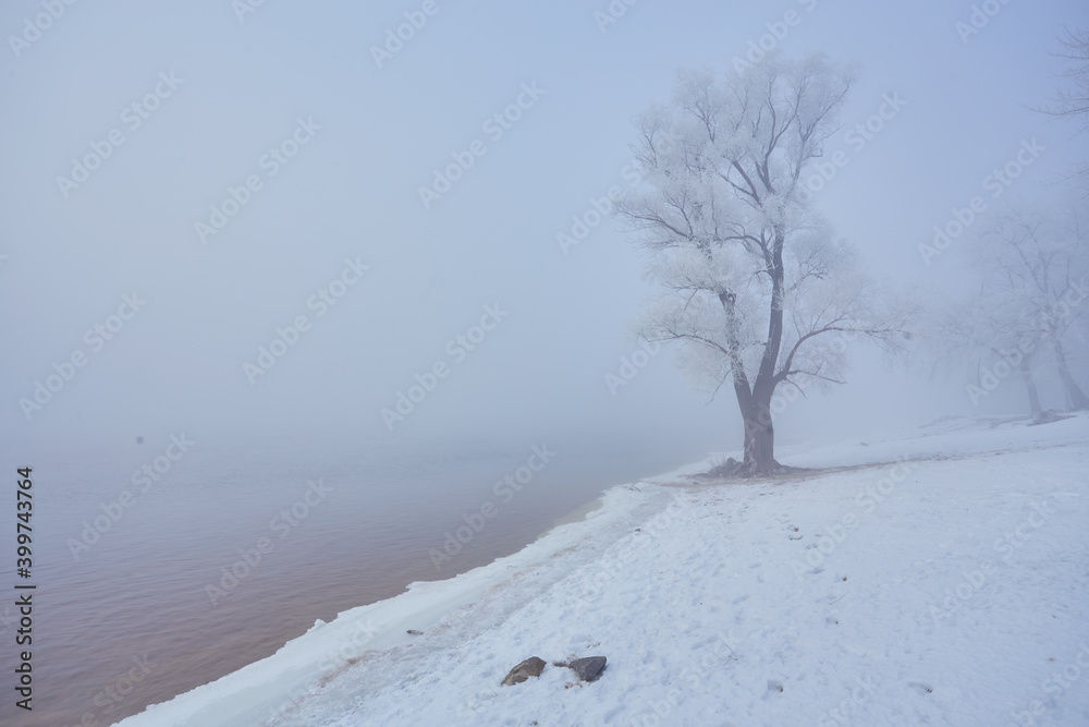 Winter river with a lone tree covered with hoarfrost Winter river with a lone tree covered with hoarfrost
