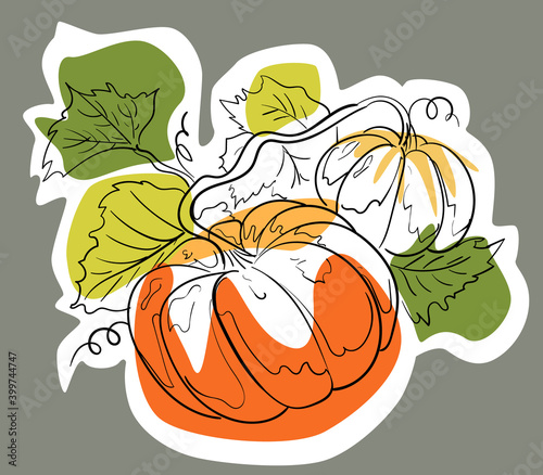 Hand drawn pumpkin on branch with green leaves and fruit color palette