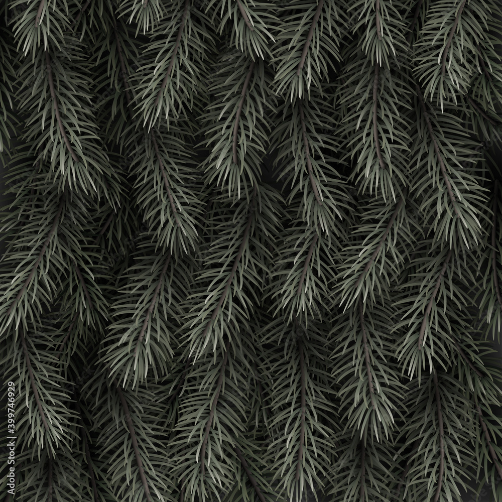 Green spruce branches realistic background.