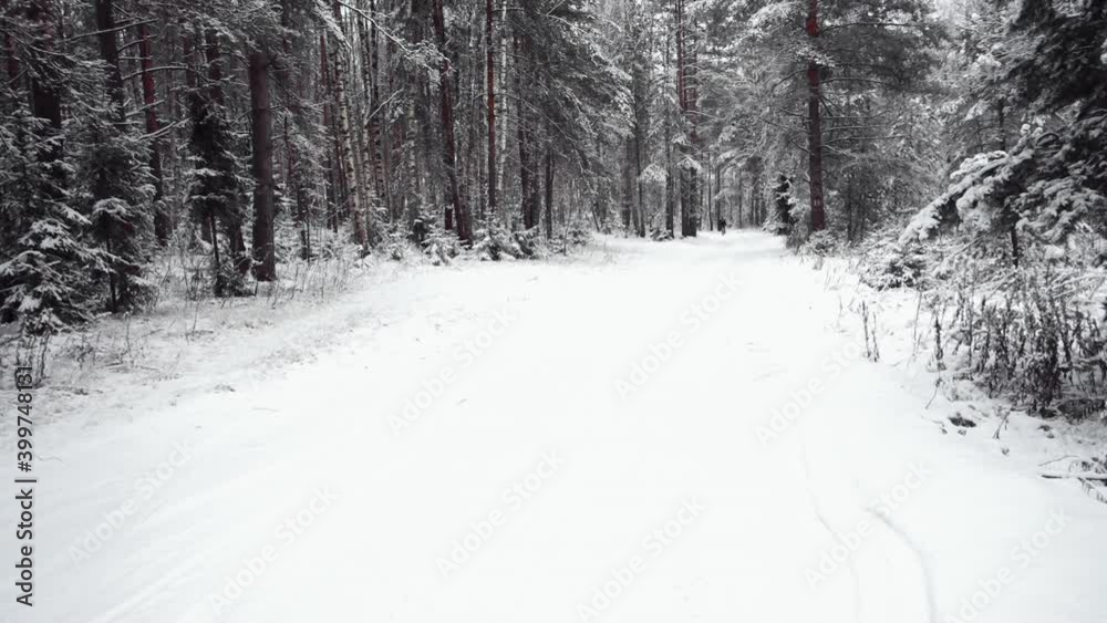Extreme sportsman biker riding fat bike in outdoors. Cyclist in the winter forest. Snowy forest. 