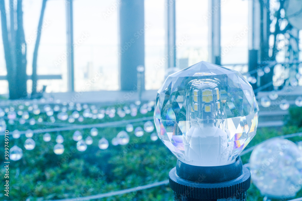 light bulb in the garden