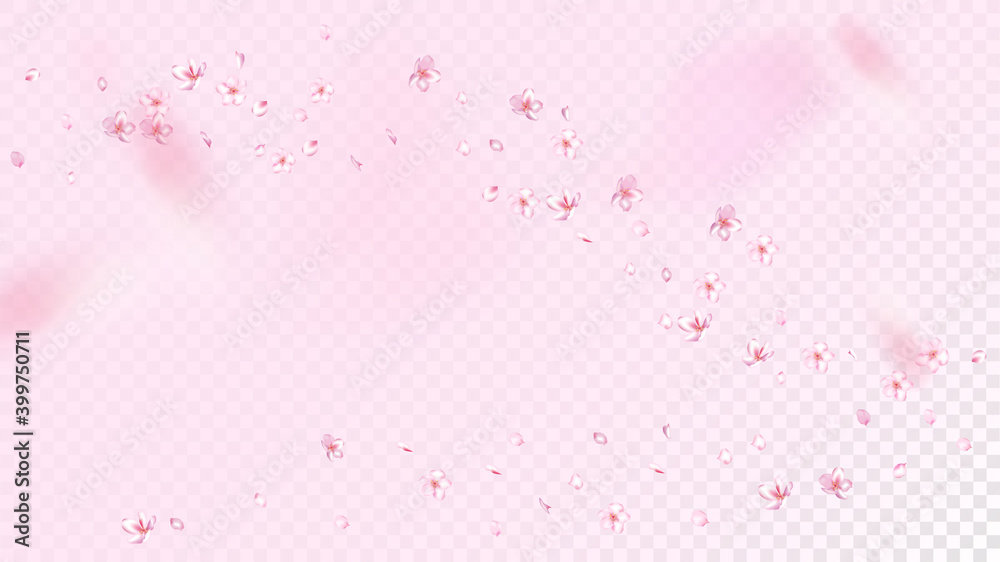 Nice Sakura Blossom Isolated Vector. Feminine Flying 3d Petals Wedding Border. Japanese Beauty Spa Flowers Illustration. Valentine, Mother's Day Spring Nice Sakura Blossom Isolated on Rose