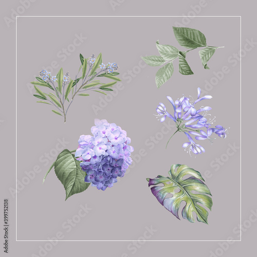 Flowers watercolor illustration,Decorative elegant luxury design.Vintage elements in baroque, rococo style.Design for cover, fabric, textile, wrapping paper