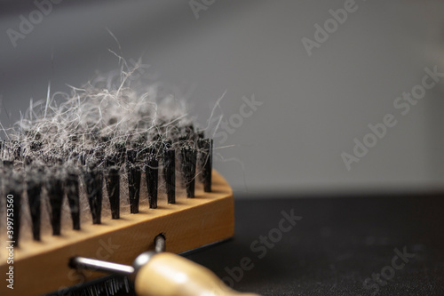 Fényképezés Comb-brush for fur and fluff of your beloved cat