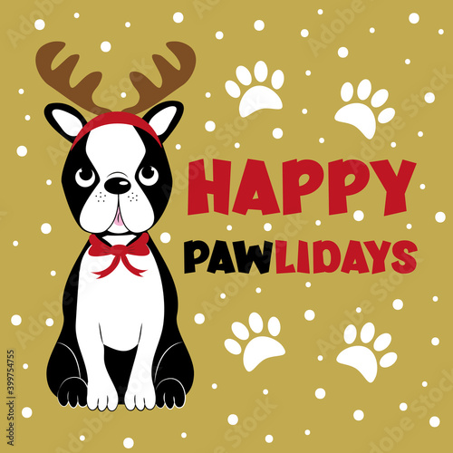 Happy Pawlidays - greeting for Christmas, with cute Boston terrier. Good for greeting card, poster, mug, T shirt print, and other gifts design. photo