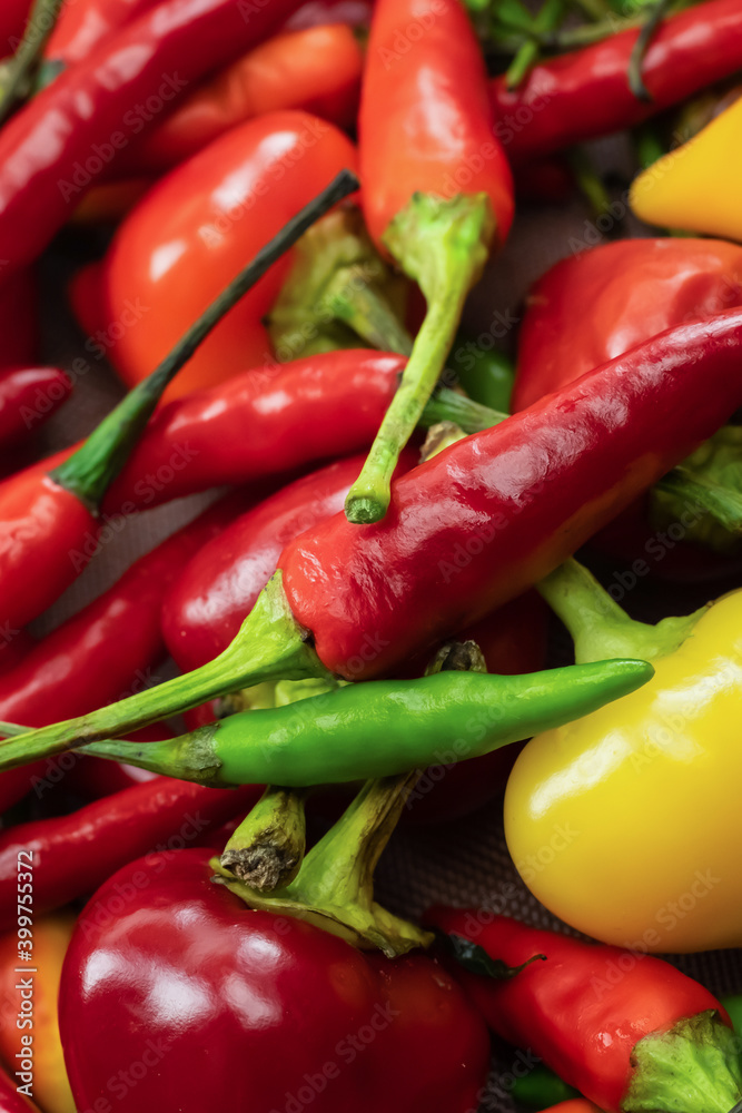 vertical chili pepper bright vegetable pattern red and yellow closeup