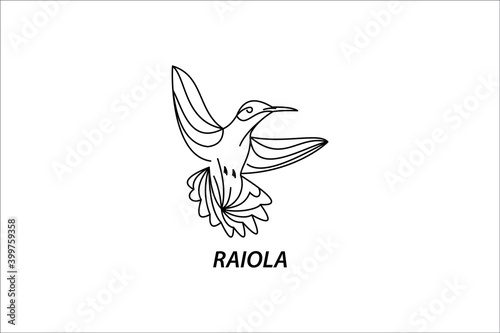 raiola bird logo illustration with line style
