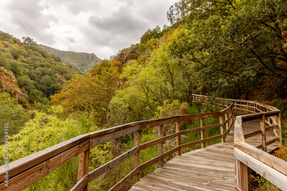 Valle frondoso con pasarela