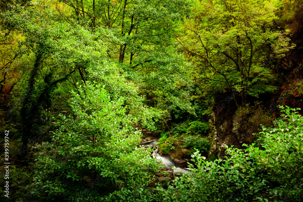Valle frondoso con río en el fondo Valle frondoso con río en el fondo
