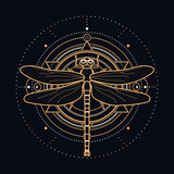 Sacred dragonfly with celestial design elements - insect illustrated with gold and white lines on black background