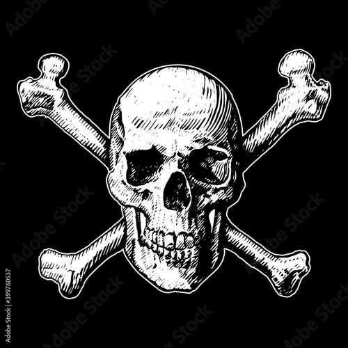Hand drawn line art anatomically correct human skulls set isolated vector illustration. like a pirates jolly roger