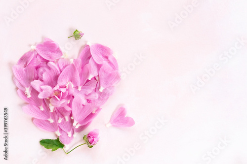 Quadro em tela Heart of pink mallow petals on a light background with space for text