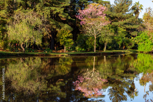 Reflexo no lago 