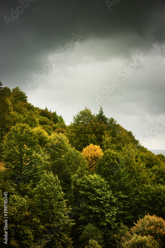 View of the autumn mountain landscape in Crimea. © Myshkovskyi