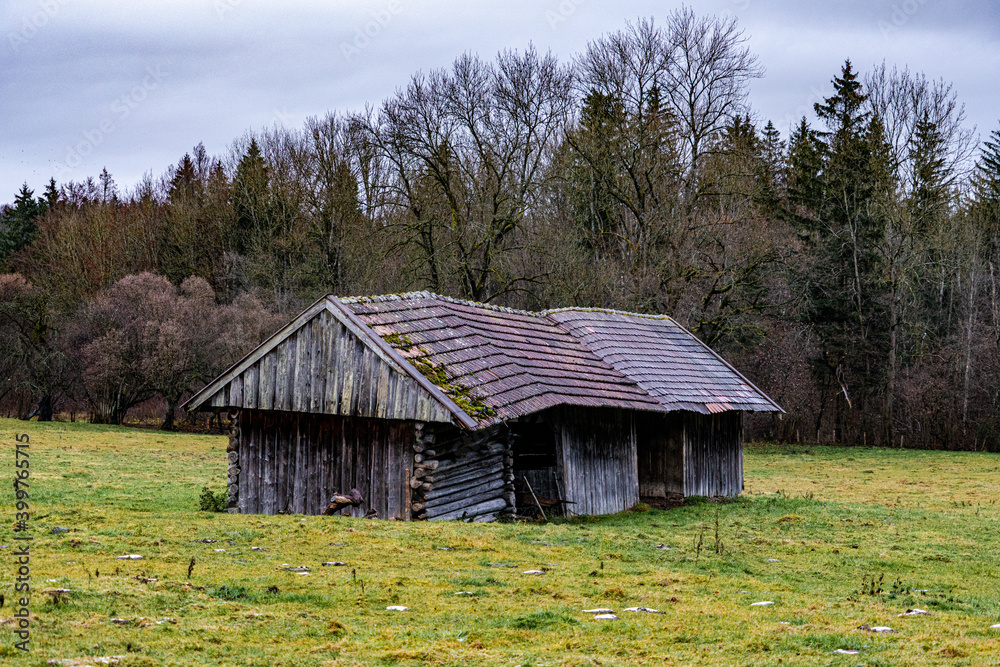 Cabin in the wood