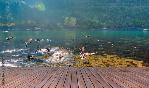 Beautiful landscape of Gideros Bay with wooden pier - Cide, Kastamonu, Turkey photo