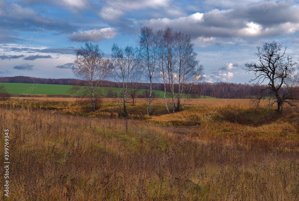 landscape with trees and clouds