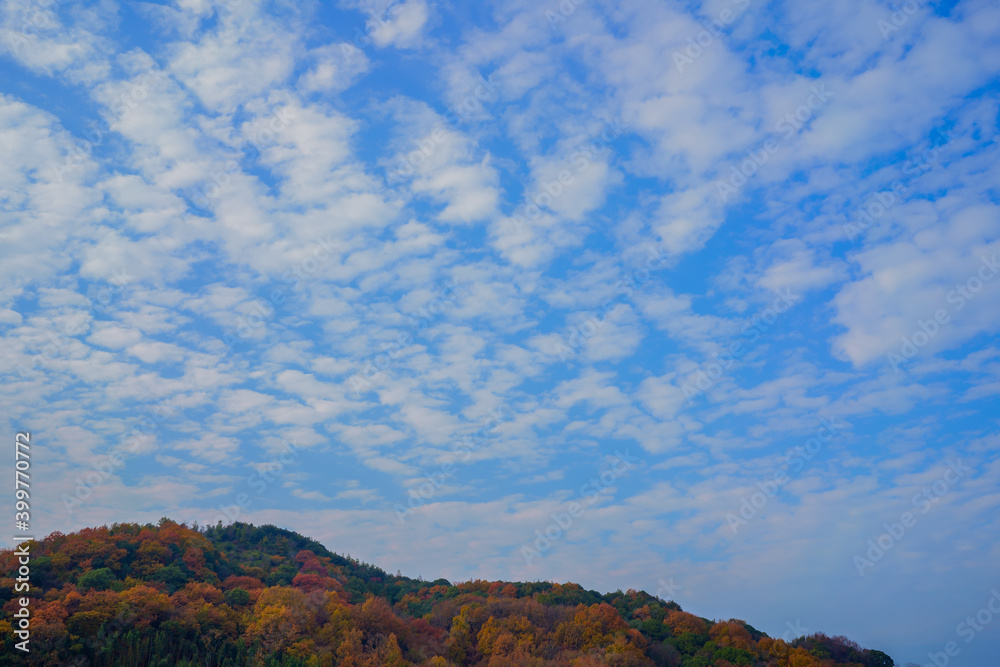 Fototapeta premium 晩秋の空