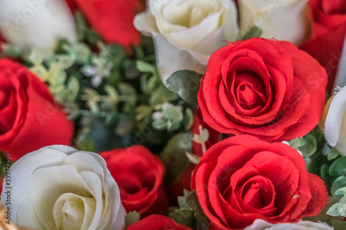 close-up of plastic red and white roses