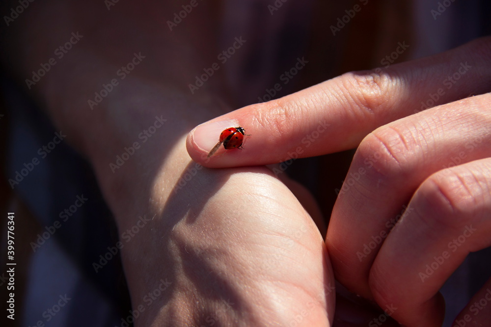 Ladybug landed on a finger Ladybug landed on a finger