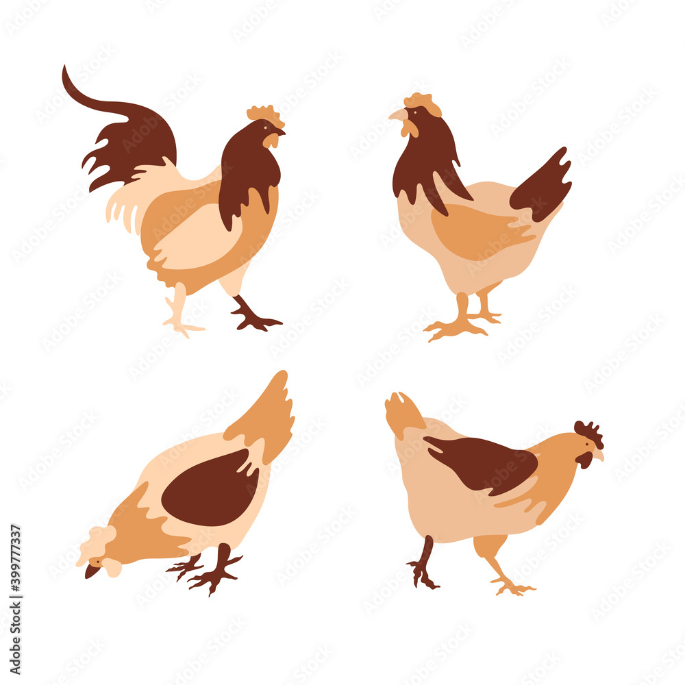 The silhouette of a chicken consists of multi-colored segments. Agriculture.