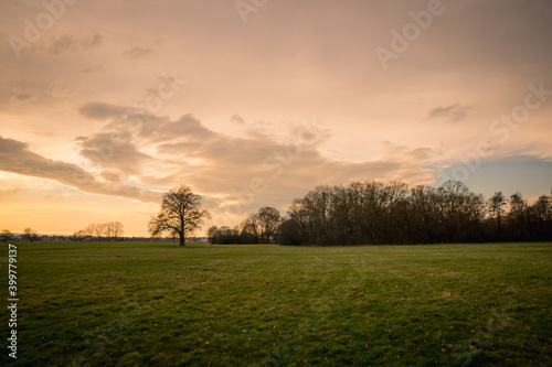 Autumn sunset over deciduous forest and meadow