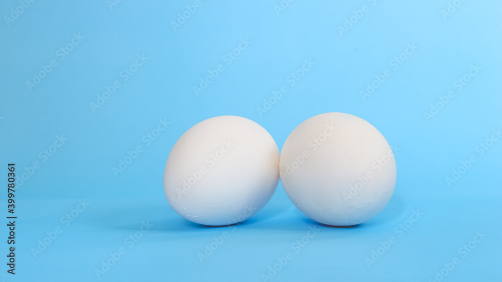 Organic chicken eggs isolated on blue background. Organic chicken eggs isolated on blue background.