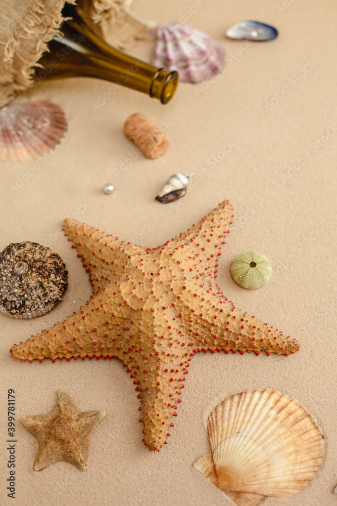 Seafood on a background of sand. Background about sea, ocean or tourism. About sailors, captains, underwater inhabitants. Pirate treasures. Seafood on a background of sand. Background about sea, ocean or tourism. About sailors, captains, underwater inhabitants. Pirate treasures.