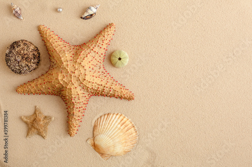 Seafood on a background of sand. Background about sea, ocean or tourism. About sailors, captains, underwater inhabitants. Pirate treasures.