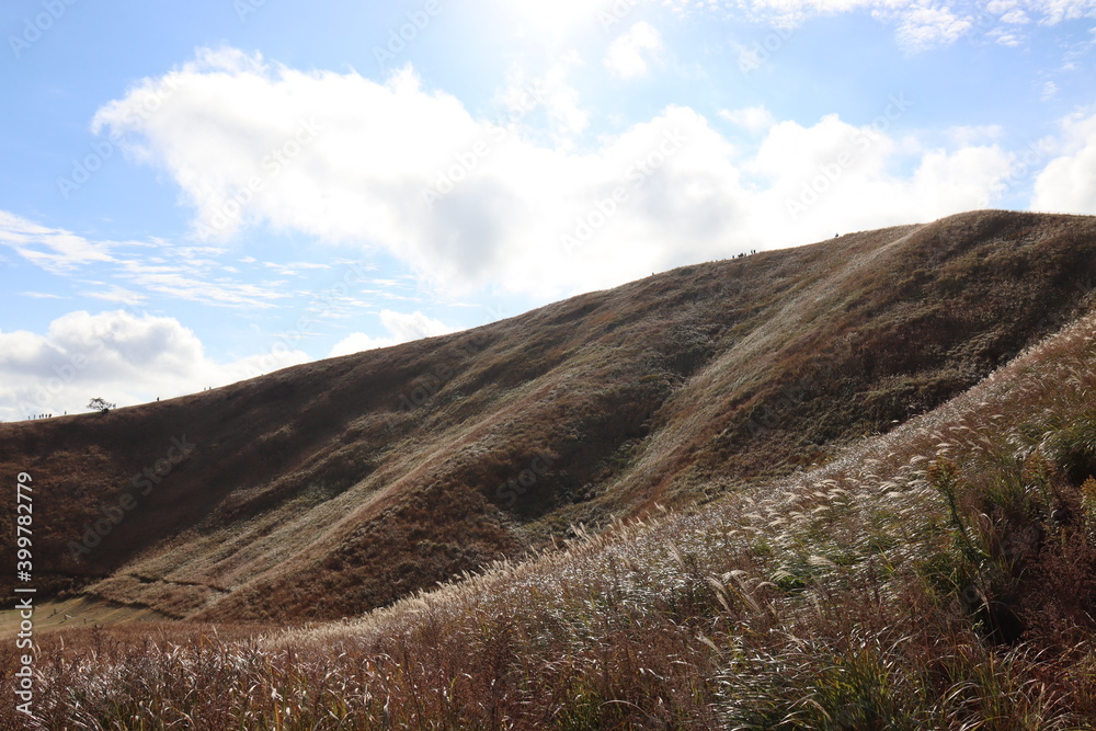 Fototapeta premium 大室山から見える綺麗な景色