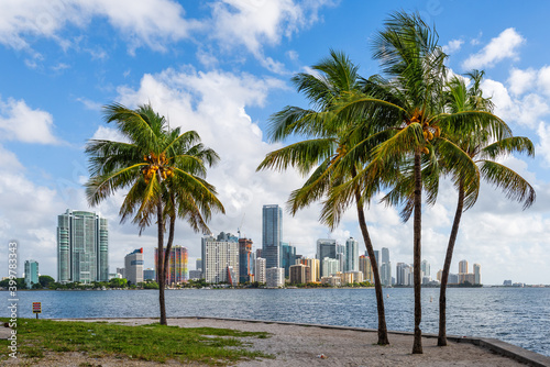 Miami, Florida, USA Tropical Downtown Skyline © SeanPavonePhoto