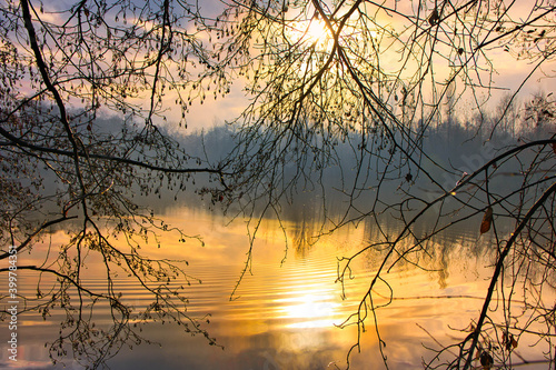 Nebeliger Wintermorgen im Grand Ried im Elsass