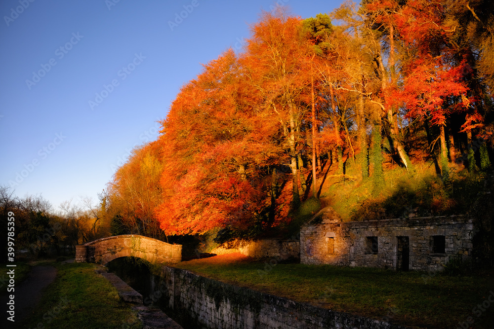 Boyne valley trails in autumn