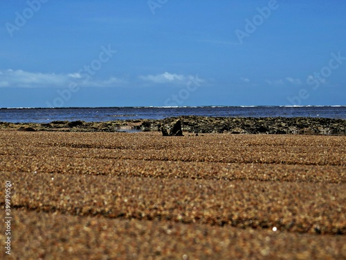 Stone out of sea water on the Beach Coroa Vermelha.