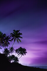 Keuken achterwand Purper Palmbomen bij nacht in Galle  © Myshkovskyi