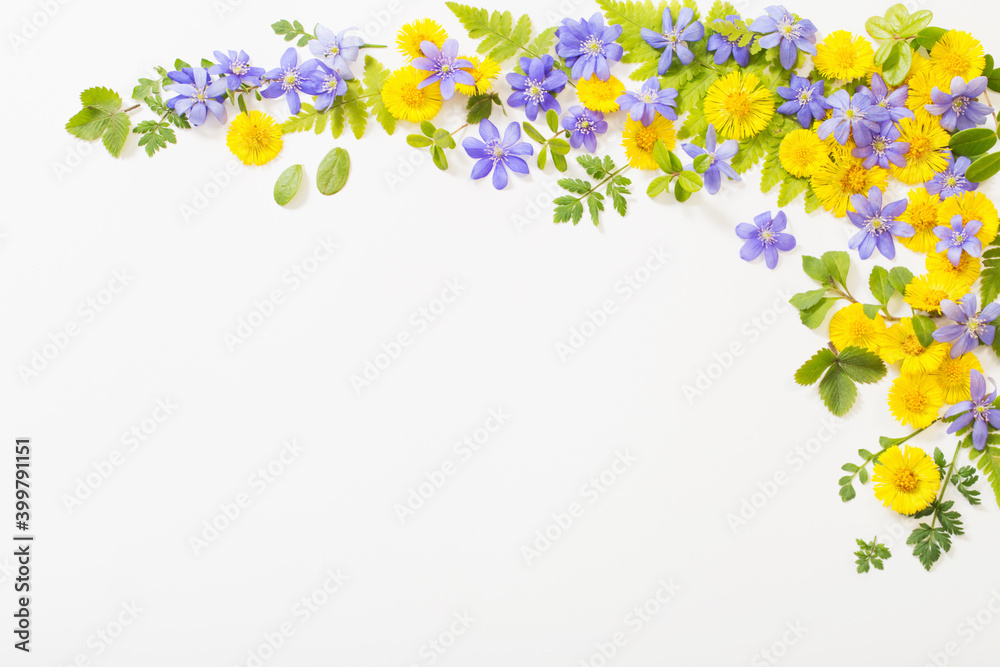 spring yellow and violet flowers on paper background spring yellow and violet flowers on paper background