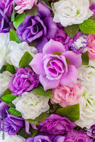 blooming roses of white  purple and pink color in a bouquet