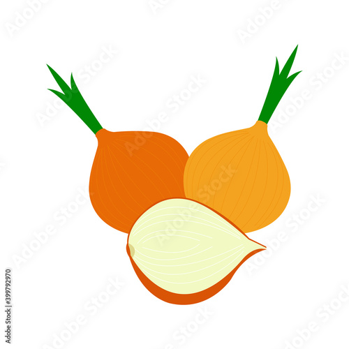 Onions vector illustration on a white backdrop