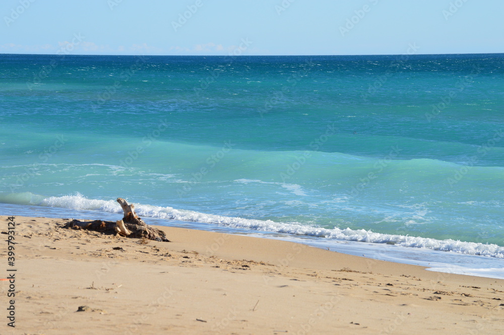 Tronco varado en la arena de la playa